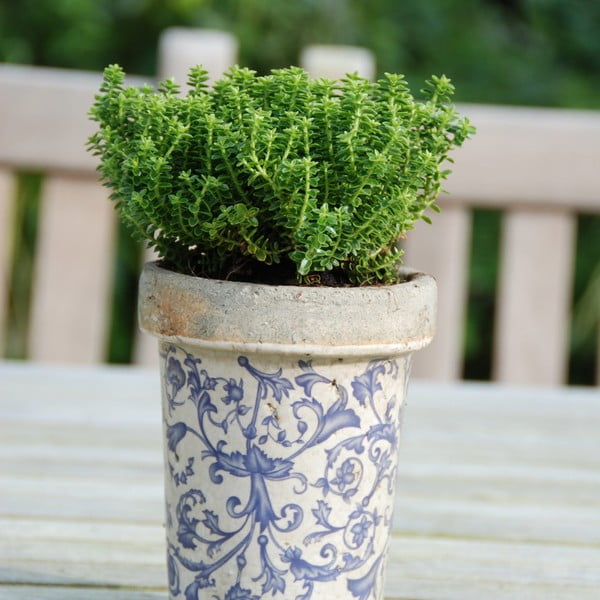 Vazonas iš keramikos ø 13 cm – Esschert Design-image-2