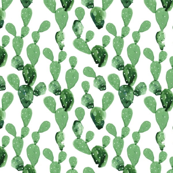 Tapetai Dekornik Cactus, 50 x 280 cm