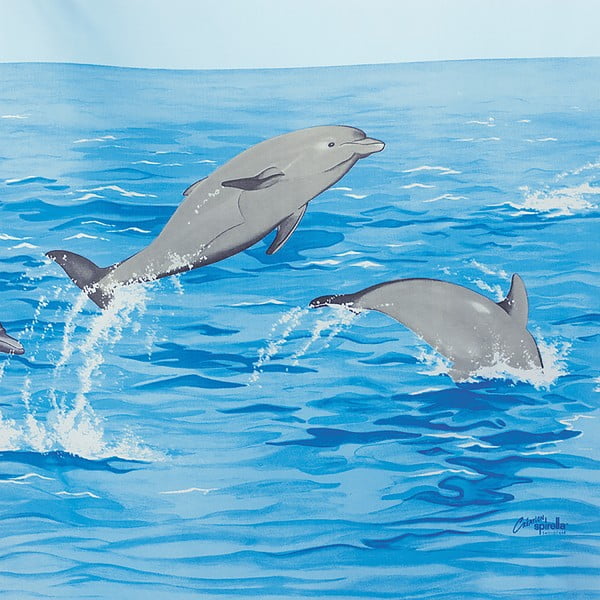Dušo užuolaida 180x180 cm Nemo – Spirella-image-1