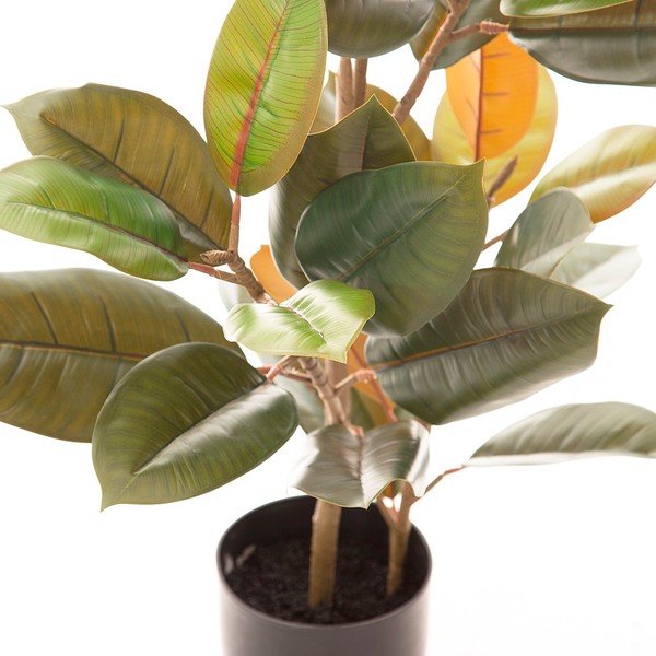 Dirbtinis fikusas (aukštis 90 cm) Ficus – Ixia-image-2