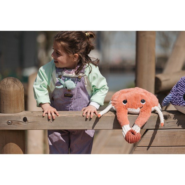 Pliušiniai žaislai 2 vnt. Ptipotos Cassecou – Les Deglingos-image-2