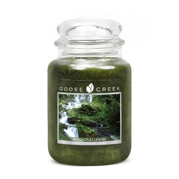 Kvapnioji žvakė stikliniame indelyje "Goose Creek Patchouli leaves", 150 valandų degimo