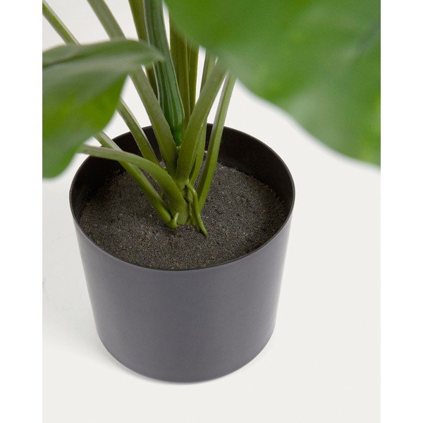 Dirbtinis augalas (aukštis 57 cm) Odora – Kave Home-image-4