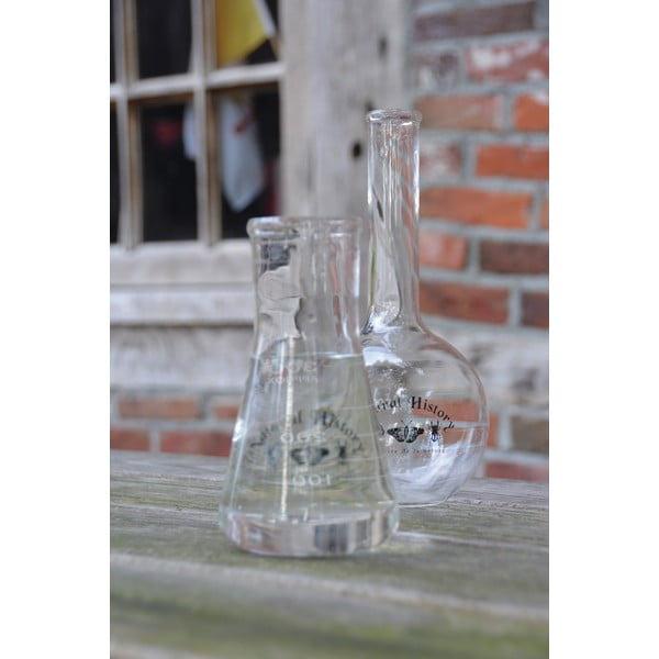 Iš stiklo  vaza (aukštis 23 cm) Natural History – Esschert Design-image-1