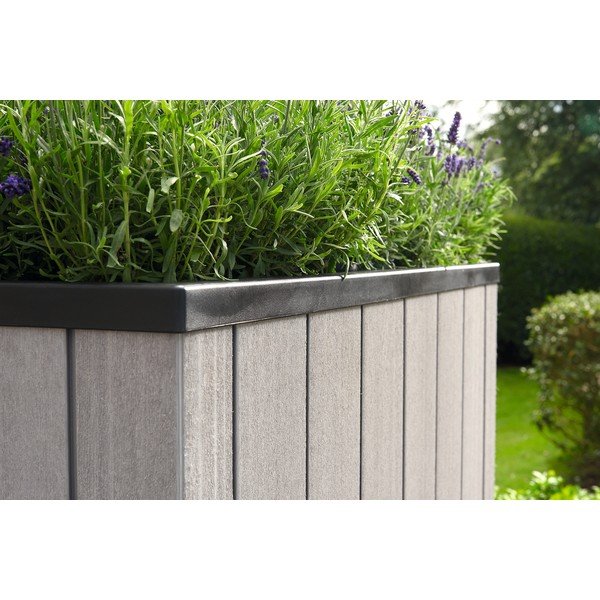Pakelta sodo lysvė Sequoia Duotech – Keter-image-1