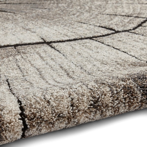 Smėlio spalvos kilimas 230x160 cm Woodland - Think Rugs-image-2
