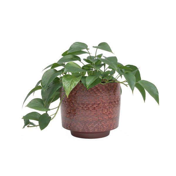 Iš keramikos rankų darbo gėlių vazono dangtelis ø 21 cm Minerva – Artevasi