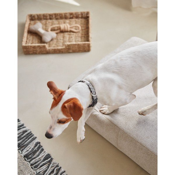 Smėlio spalvos lova šunims 73x60 cm Bowie - Kave Home-image-2