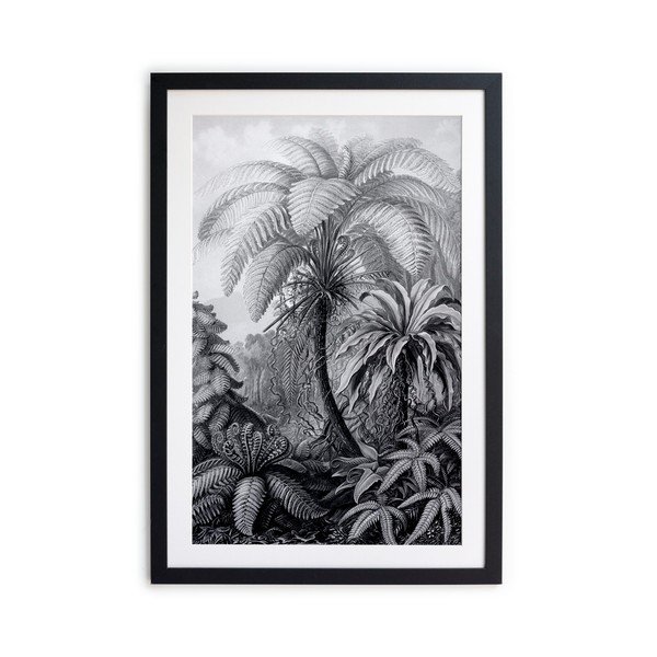 Plakatas 40x60 cm Palm - Surdic