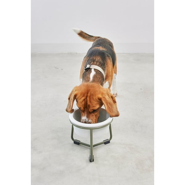 Iš porceliano dubuo su pagrindu šuniui ø 20 cm Pranzo Grolive M – MiaCara-image-1