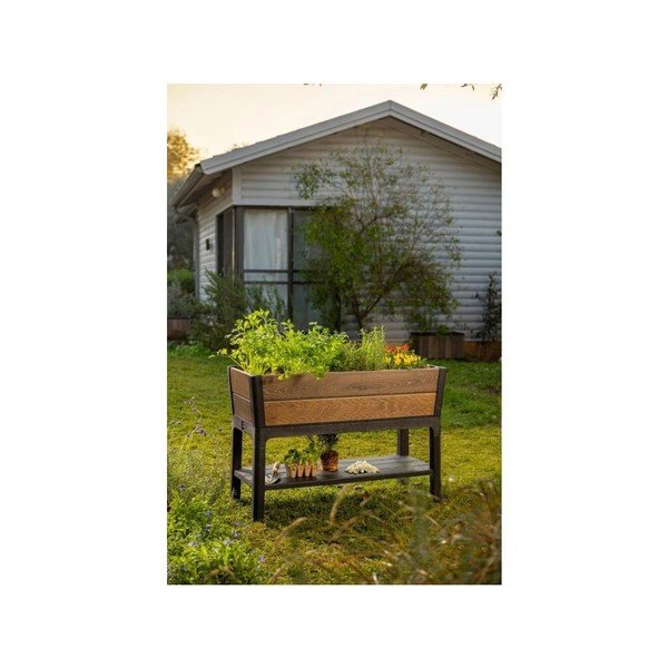 Pakelta sodo lysvė Deco Walnut – Keter-image-1
