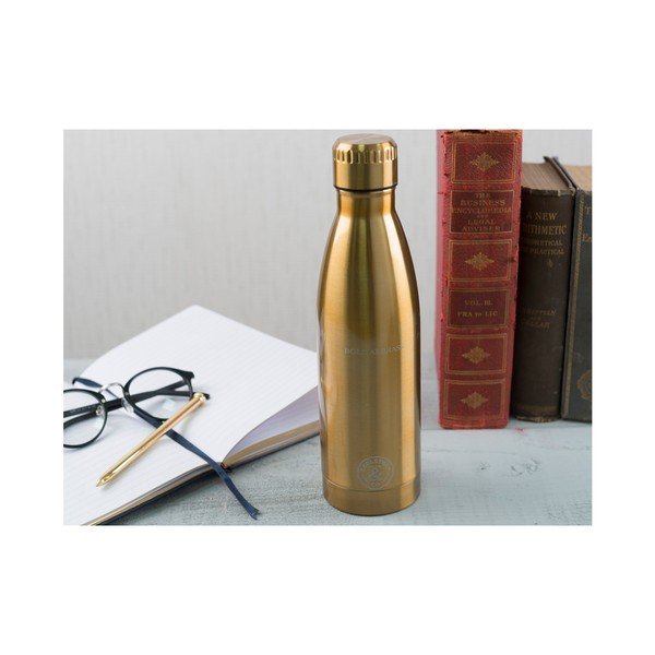 Nerūdijančio plieno kelioninis butelis "Creative Tops Earlstree", 550 ml-image-3