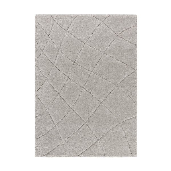 Kilimas šviesiai pilkos spalvos 60x120 cm Molier – Universal