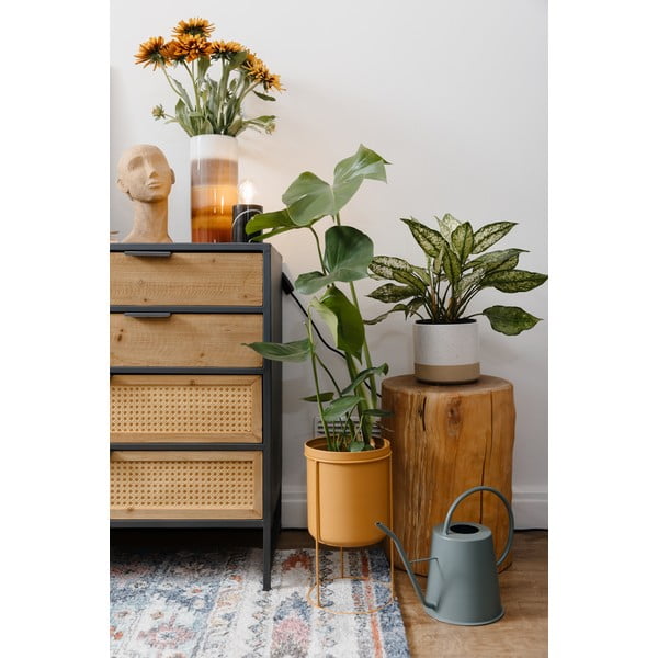 Žalias metalinis laistytuvas PT LIVING, 24 cm aukščio-image-2