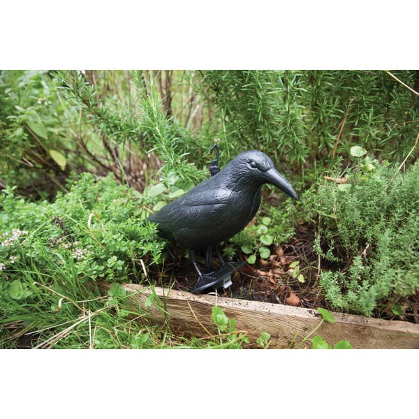 Iš plastiko kaliausė Crow – Esschert Design-image-3