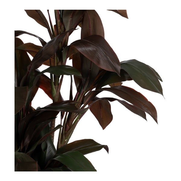 Dirbtinis augalas (aukštis 170 cm) – Ixia-image-2