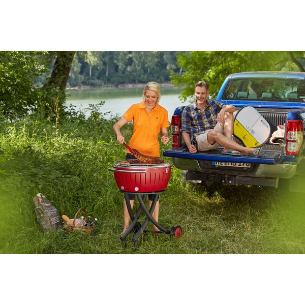 Medžio anglys LotusGrill, 2,5 kg-image-1