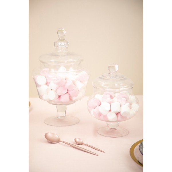 Iš stiklo maisto laikymo indas sausainiams Olivia – Premier Housewares-image-1