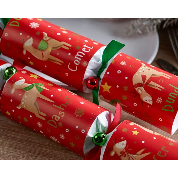 Kalėdiniai krekeriai 6 vnt. Rudolph & Friends – Robin Reed-image-2