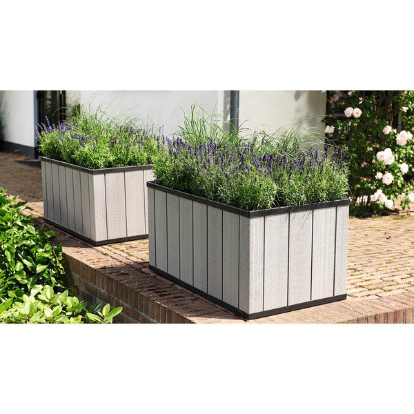 Pakelta sodo lysvė Sequoia Duotech – Keter-image-2