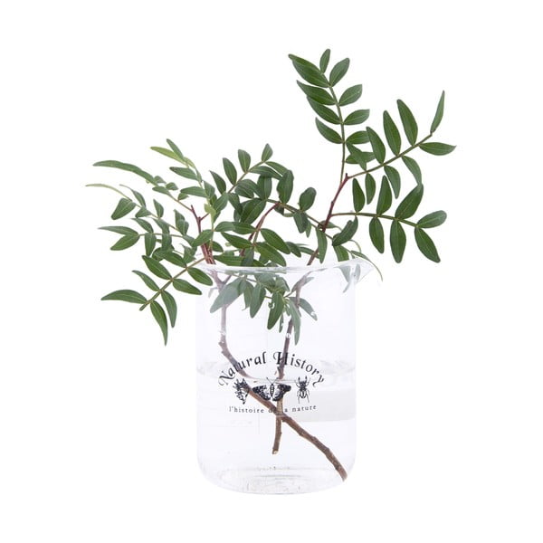 Iš stiklo  vaza (aukštis 12 cm) Natural History – Esschert Design-image-1