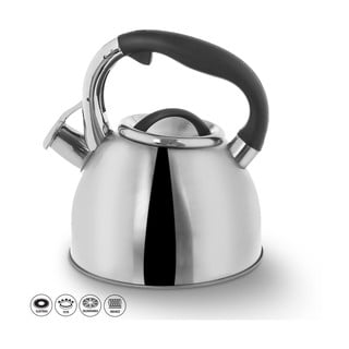 Nerūdijančio plieno arbatinukas su atlenkiamu švilpuku "Orion Darek", 2,7 l