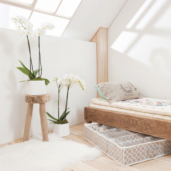 Smėlio spalvos batų dėžė po lova Compacto, 76 cm ilgio-image-3