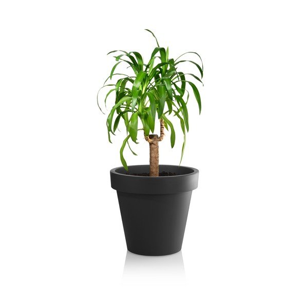 Vazonas iš plastiko ø 29 cm Metro Twist – Gardenico-image-2