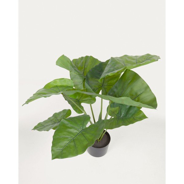 Dirbtinis augalas (aukštis 57 cm) Odora – Kave Home-image-3