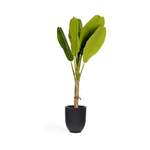 Dirbtinė palmė (aukštis 160 cm) Baa – Kave Home