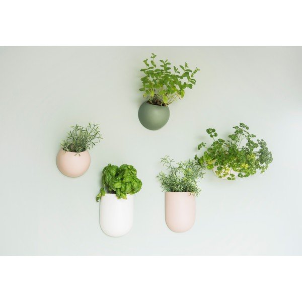 Šviesiai rožinis keraminis sieninis vazonas PT LIVING Ovalus-image-1