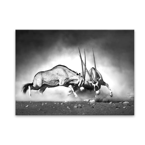 Vaizdas Styler Glas Animals Gazelle, 70 x 100 cm