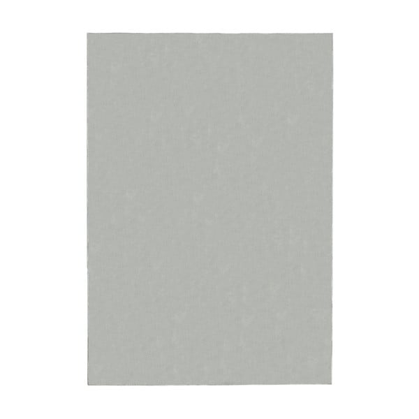 Kilimas šviesiai pilkos spalvos 200x290 cm – Flair Rugs