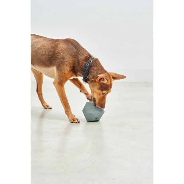 Žaislas šuniui Dado Eucalyptus – MiaCara-image-1