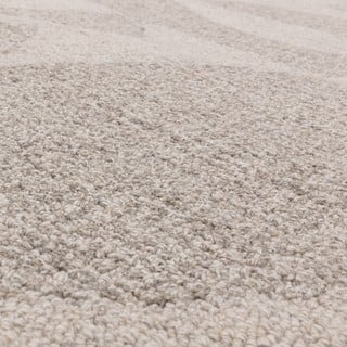 Rankų darbo iš vilnos kilimas kreminės spalvos 160x230 cm Loxley – Asiatic Carpets