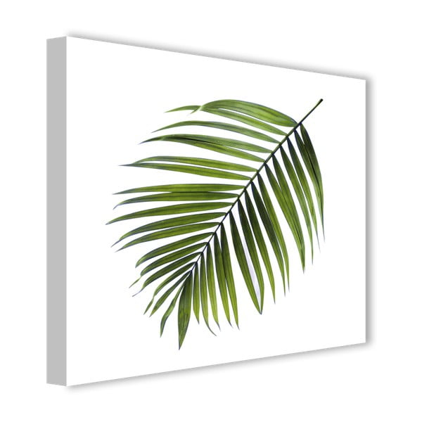 Paveikslas Styler Canvas Greenery Black Palm, 32 x 32 cm-image-2