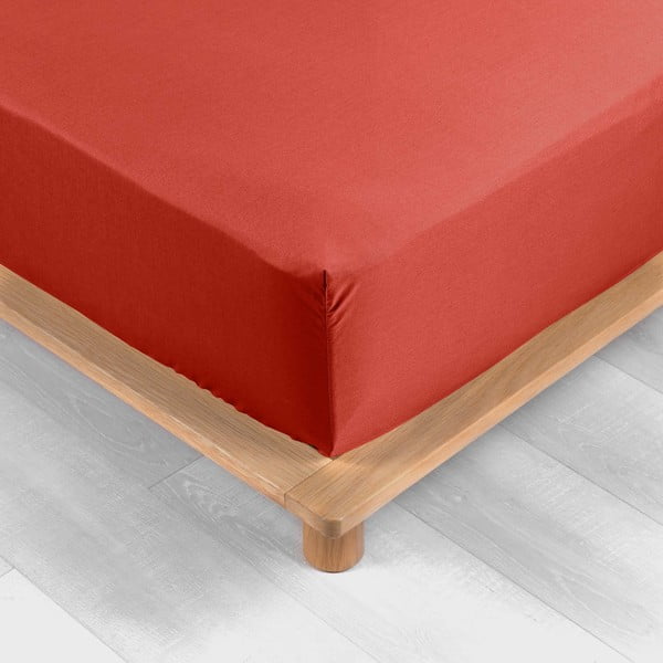 Paklodė iš medvilninio perkelio raudonos plytų spalvos su guma 180x200 cm Percaline – douceur d'intérieur