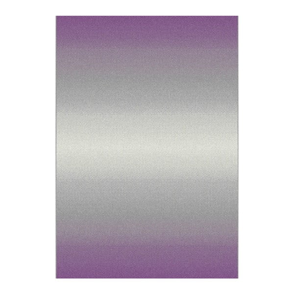 Pilkos ir violetinės spalvos kilimas "Universal Boras", 67 x 250 cm