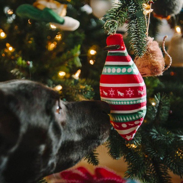 Žaislas šuniui Kalėdų dekoracija Peace & Joy - P.L.A.Y.-image-1