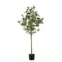 Dirbtinė gėlė Eucalyptus – Casa Selección