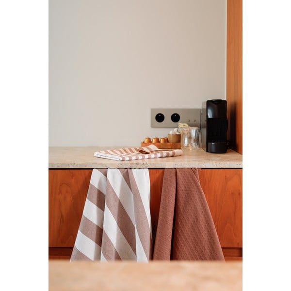 Iš medvilnės virtuvės rankšluosčiai 3 vnt. 51x74 cm Marra – Tiseco Home Studio-image-4