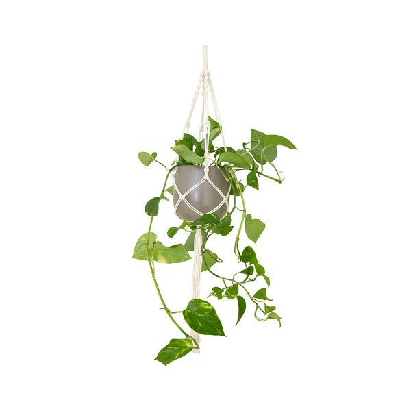 Iš tekstilės grandinėlė gėlių vazonams ø 13 cm (aukštis 100 cm) Macramé – Artevasi