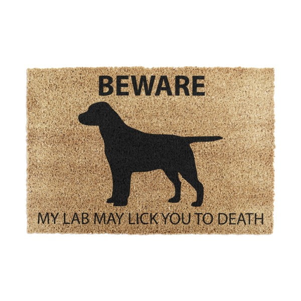 Iš kokoso pluošto grindų kilimėlis 40x60 cm Labrador – Artsy Doormats