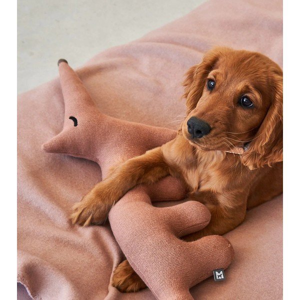 Žaislas šuniui Bosco Fox – MiaCara-image-3