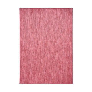 Raudonas/rožinis lauko kilimas 290x200 cm POP! - Think Rugs