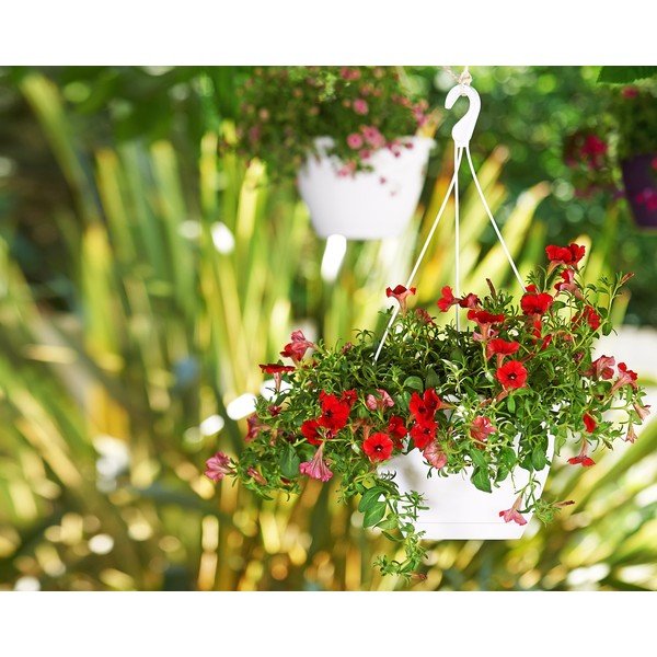 Iš plastiko vazonas ø 31 cm Algarve – Artevasi-image-1