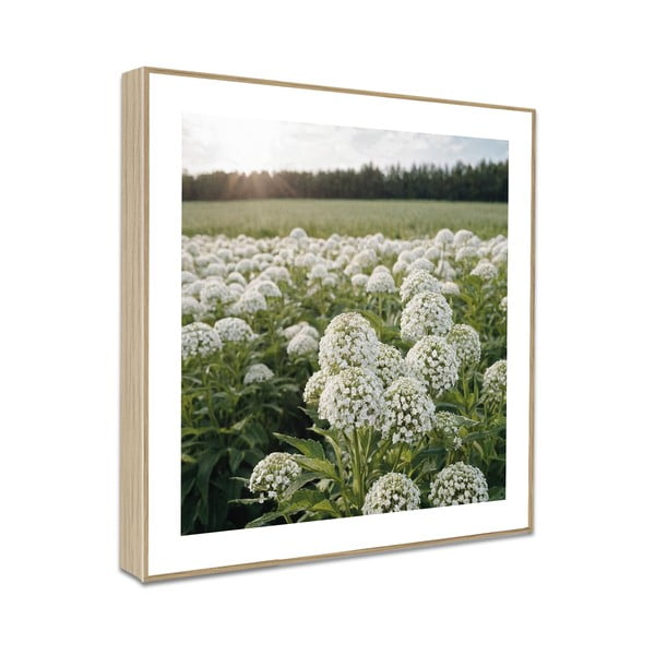 Paveikslai 4 vnt. 30x30 cm Sunrise Hike – knor-image-4