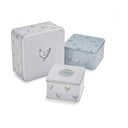 Iš plieno maisto laikymo indai 3 vnt. sausainiams Farmers Kitchen – Cooksmart ®