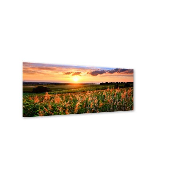 Vaizdas Styler Glas Sunset Meadow, 50 x 125 cm-image-1