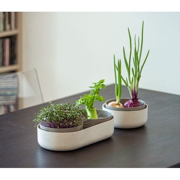 Iš plastiko daiginimo konteineris Microgreens + Regrow – Plastia-image-1